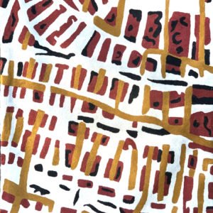 Songlines Jane Tipuamantumirri